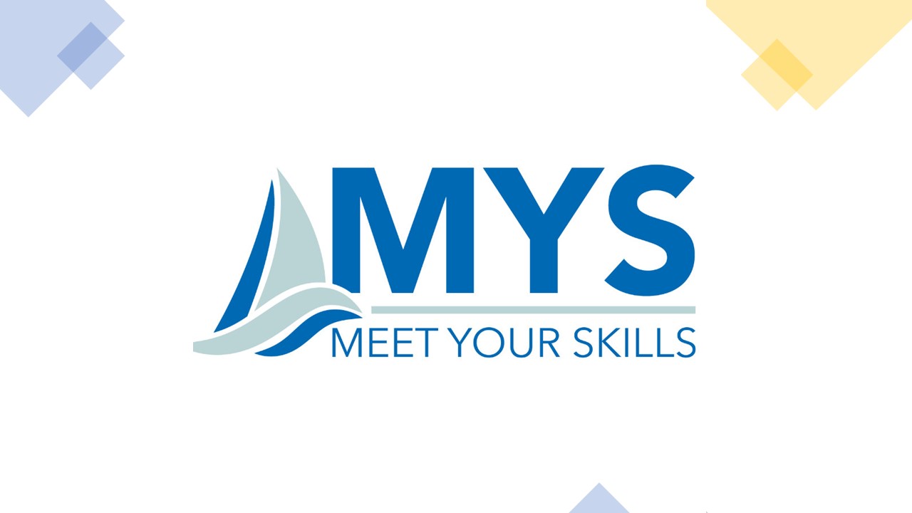 logo meet your skills