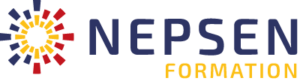 logo nepsen